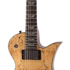 Fernandes Ravelle Spalted