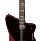 Fernandes Vertigo Elite