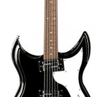 Black Rosewood Fingerboard