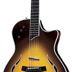 Taylor T5 Standard