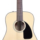 CD-100 12-String