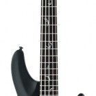 Schecter Damien 5