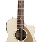 Fender Malibu™ CE