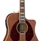 Fender Jimmy Dale Signature Kingman™ SCE