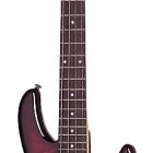 Schecter Raiden Special 4