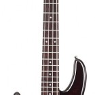 Schecter Raiden Special 4 Left Handed