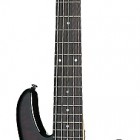 Schecter Raiden Special 5