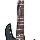 Schecter Raiden Custom 4