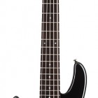 Schecter Raiden Custom 5 Left Handed