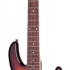 Schecter Raiden Elite 4