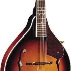 FM-53S Mandolin