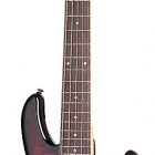 Schecter Raiden Elite 5