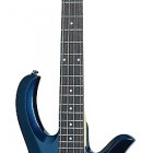 Schecter Riot Deluxe 4