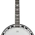 Fender FB-58 Banjo