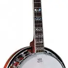 FB-55 Banjo