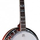 Fender FB-55 Banjo