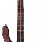 Washburn T25