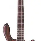 Washburn T24