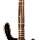 Washburn T14