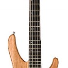 Washburn 5