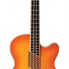 Washburn AB 40