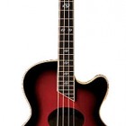 Washburn AB40SH