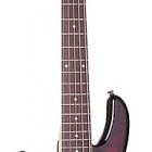 Schecter Raiden Elite 5 Left Handed