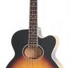 Epiphone El Capitan