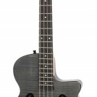 Epiphone Zenith