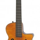 Zenith Fretless