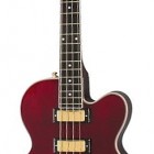 Epiphone Allen Woody Limited