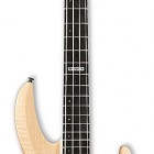 ESP B 1004