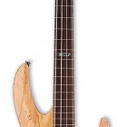 ESP B 204 Fretless