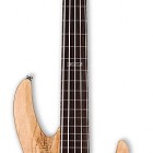 B 205 Fretless