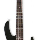 B 50 Fretless