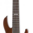 ESP D 6