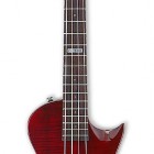 ESP EC 154 DX