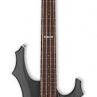 ESP F 54