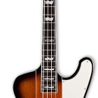 ESP Phoenix 1004