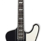 ESP Phoenix 204