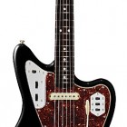 Black Brown Shell Pickguard