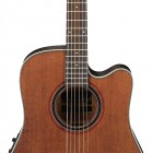 Ibanez AW250