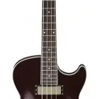 Ibanez AGB 200