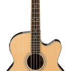 Ibanez AEB5