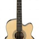 Ibanez AEB10