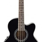 Ibanez AEB 10 E