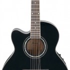 Ibanez AEL10