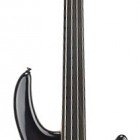 Edge 4 Fretless