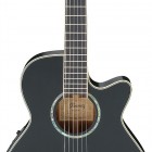 Ibanez AEG10N