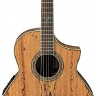 Ibanez EW20SGENT